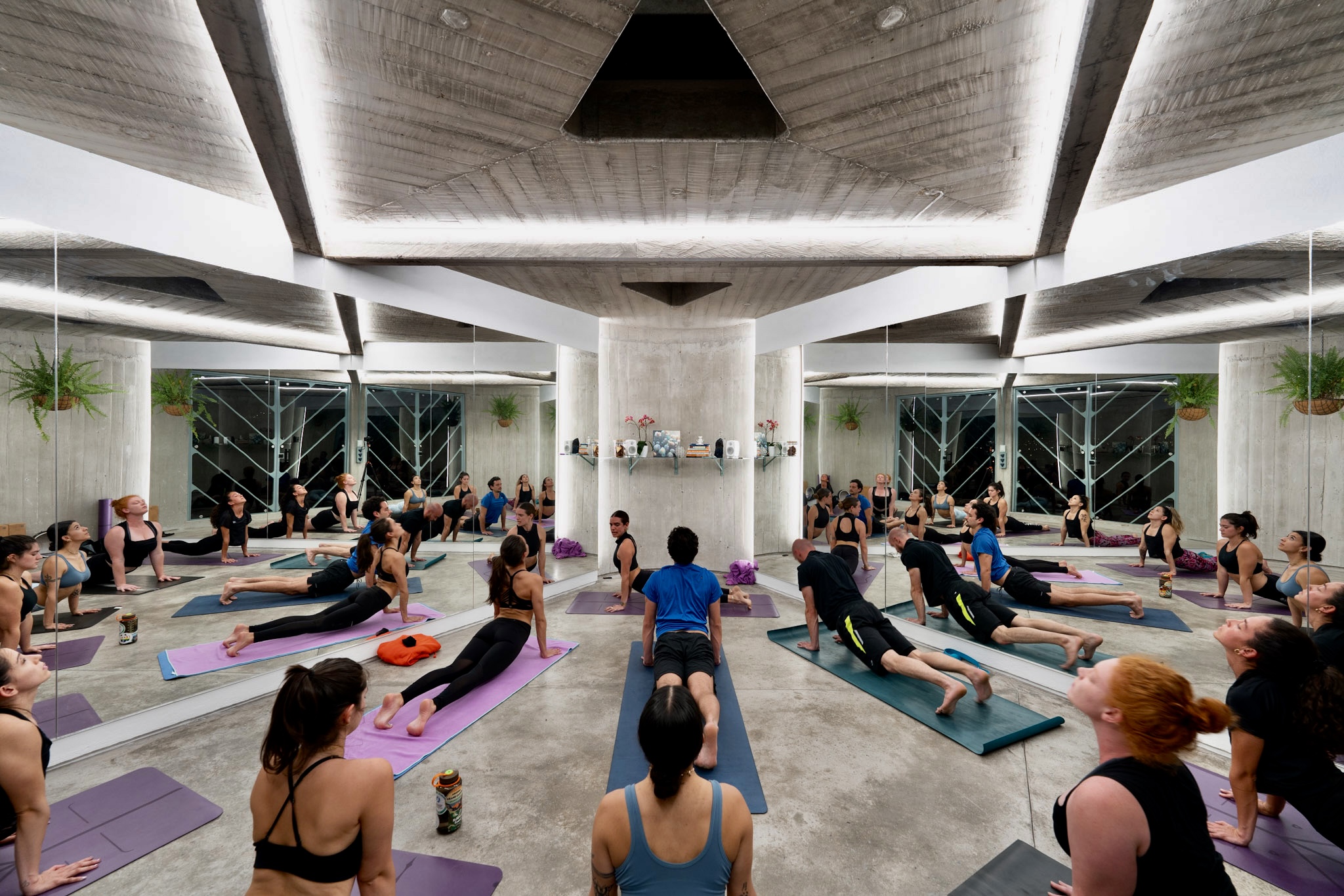 Clase de yoga haciendo perro que mira hacia arriba
