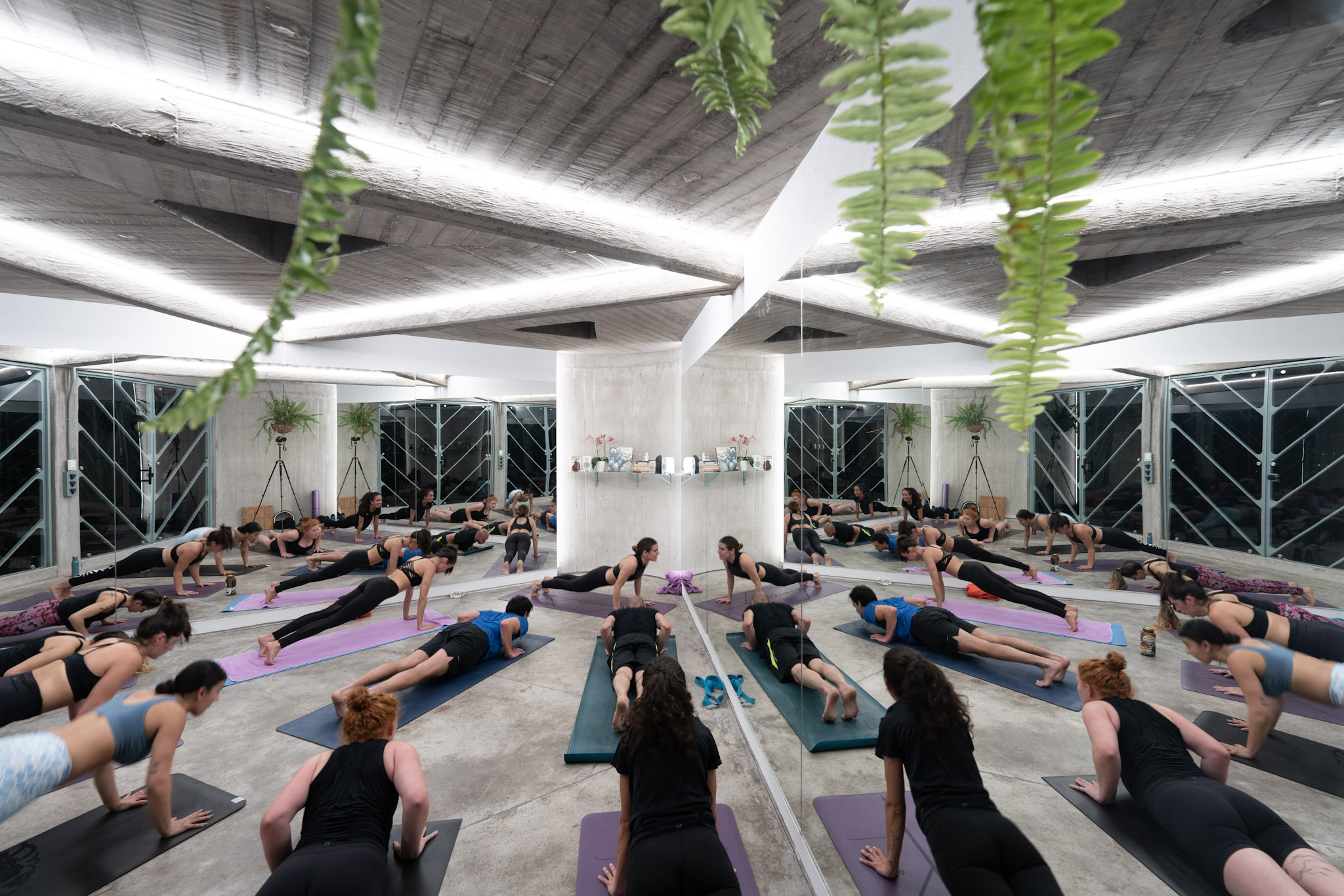 clase de yoga haciendo chaturanga